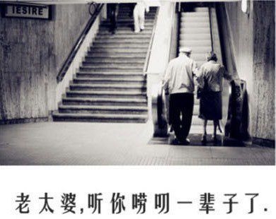 愿得一人心白首不分离。