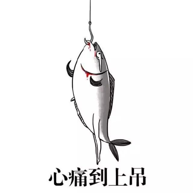 苏歌：我是一条帅气的咸鱼