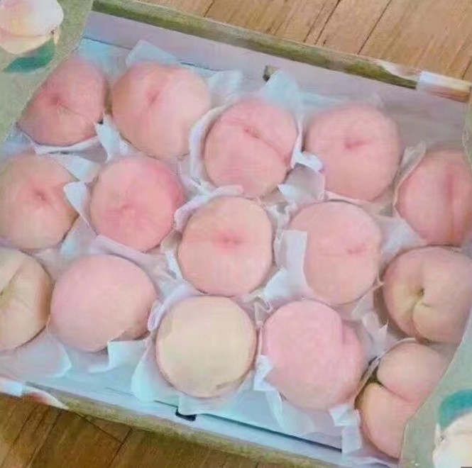 夏天来了 快艾特你的巨轮给你买桃吃