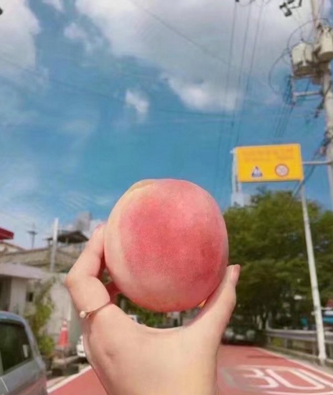 夏天来了 快艾特你的巨轮给你买桃吃