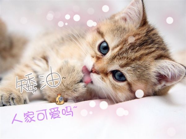 萌倒ゅ≈