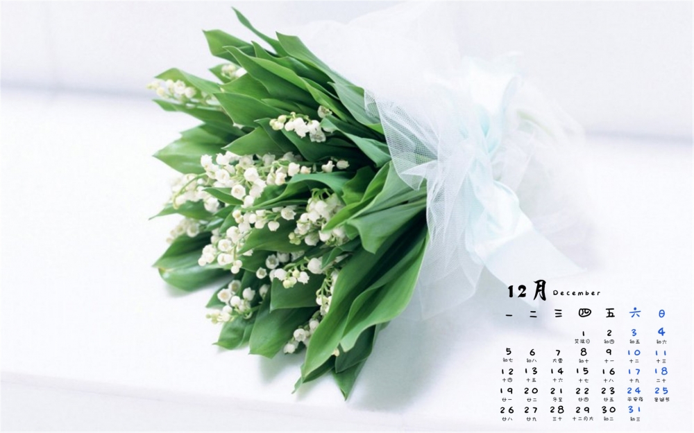 2016年12月日历清新花朵植物高清电脑壁纸下载