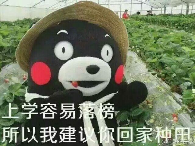表情熊本熊