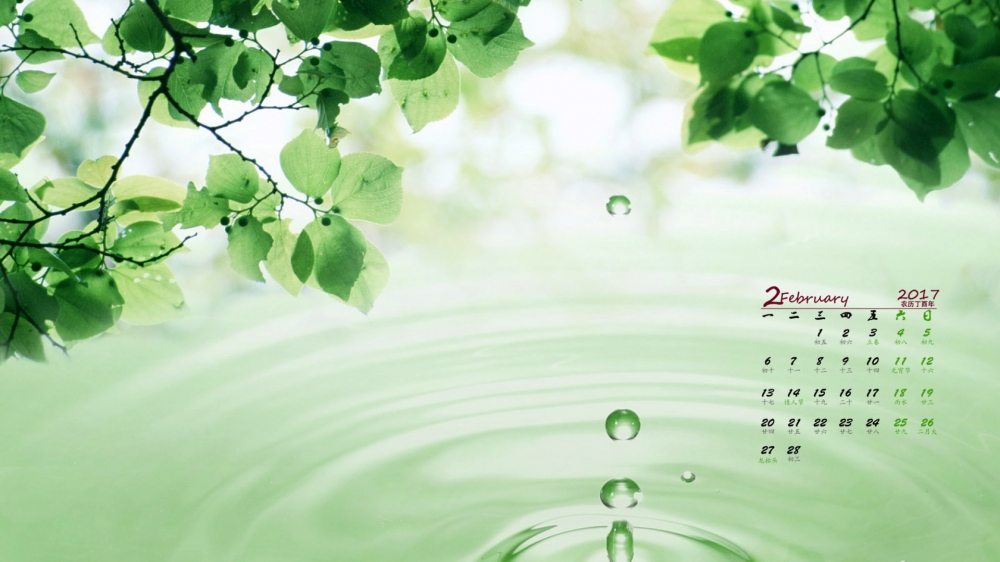 2017年2月绿色清新护眼绿叶日历壁纸  第三辑