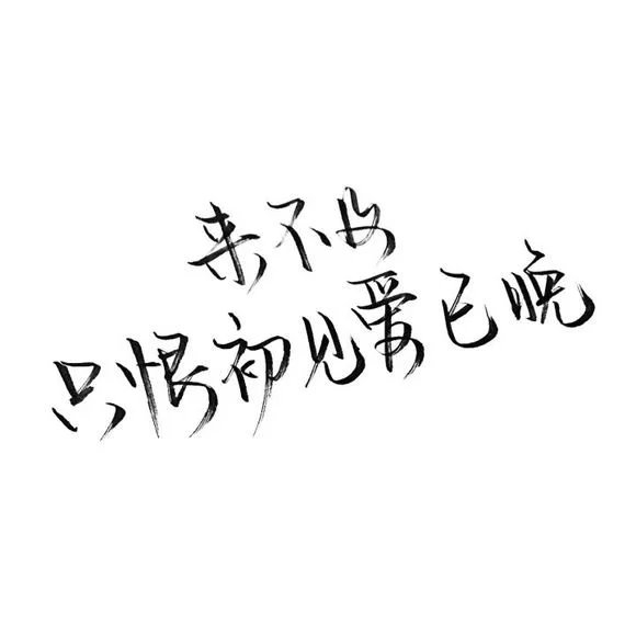 藏不住的感情 理直气壮就好了