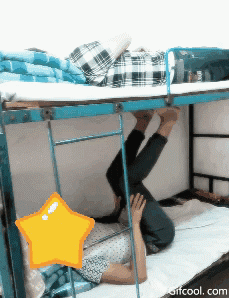 下铺的逗逼 高铁管家怎么买下铺