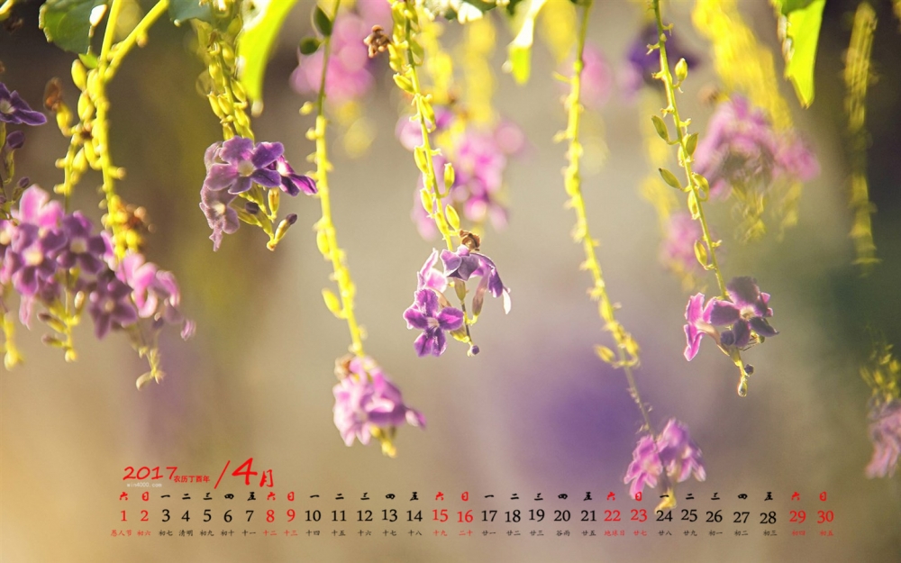 2017年4月植物小清新唯美意境高清日历壁纸
