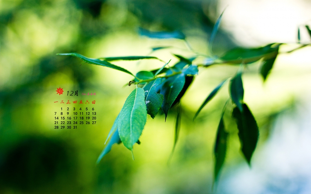 2015年12月日历唯美绿桌面壁纸下载1