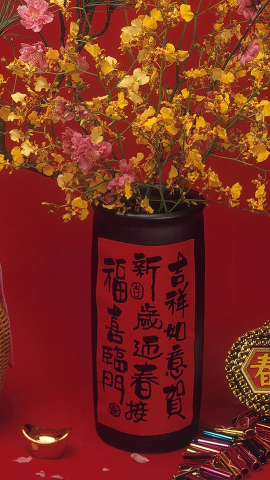红红火火春节540X960手机壁纸