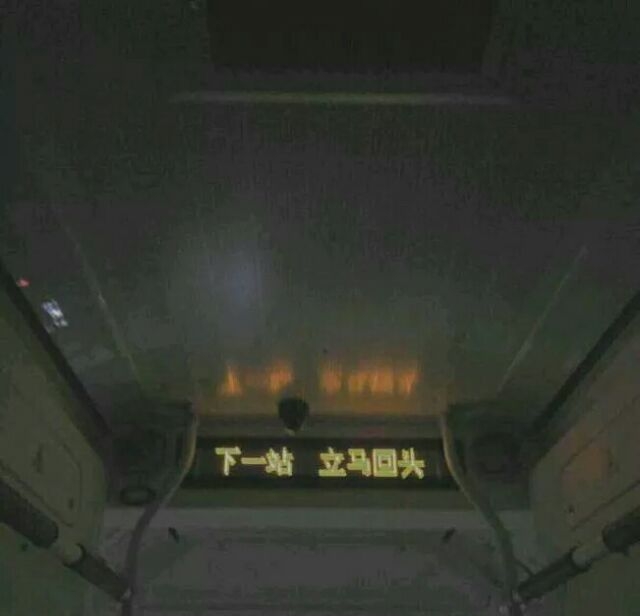 你仍是我的软肋 却再也不是我的盔甲