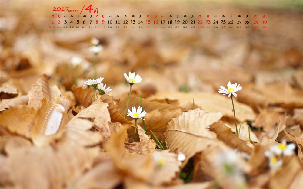 2017年4月植物小清新唯美意境高清日历壁纸