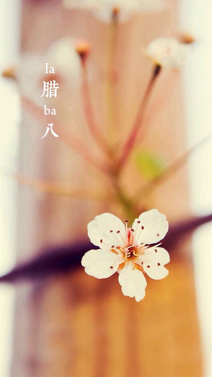 腊八节图片高清手机壁纸大全下载