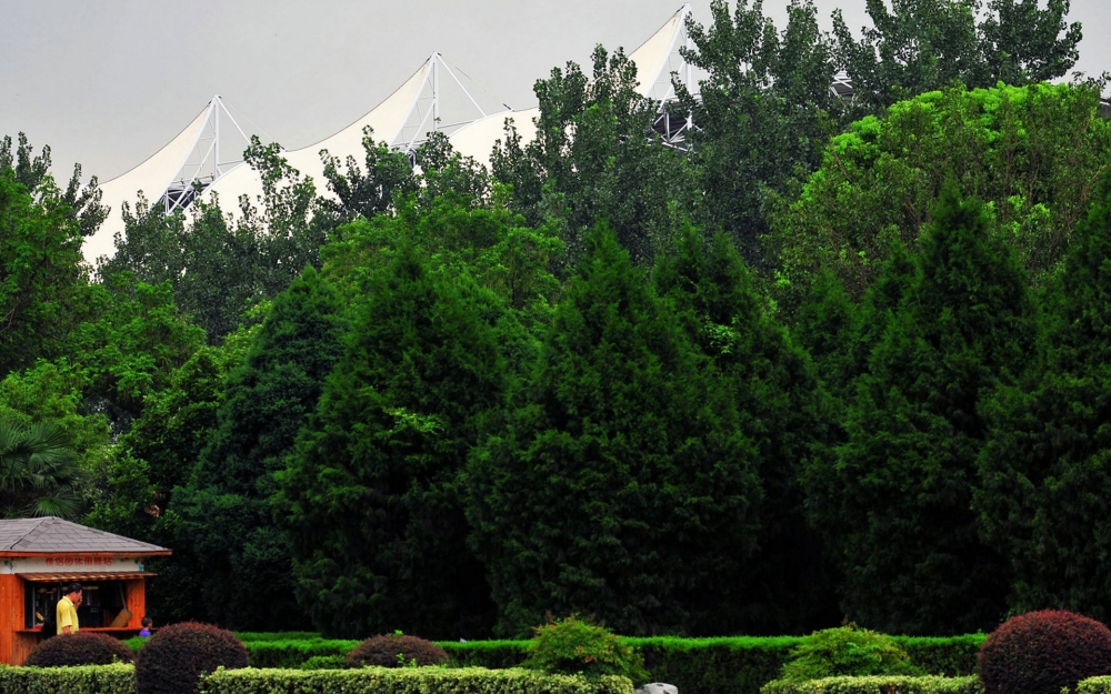南京情侣园高清风景壁纸