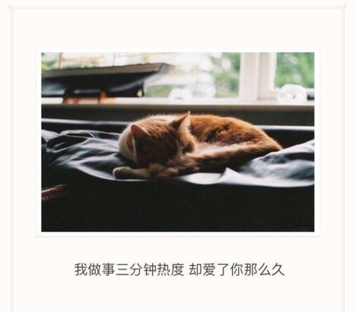 留不长头发就剪了吧，不能在一起就算了吧