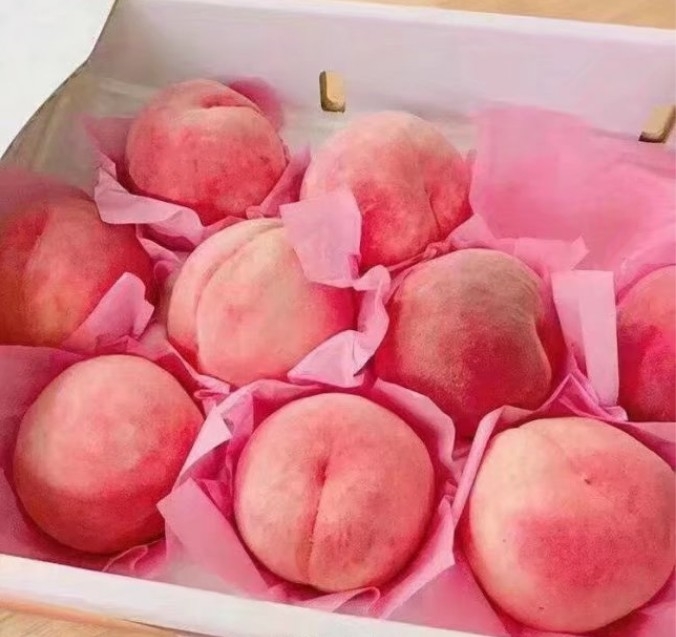 夏天来了 快艾特你的巨轮给你买桃吃