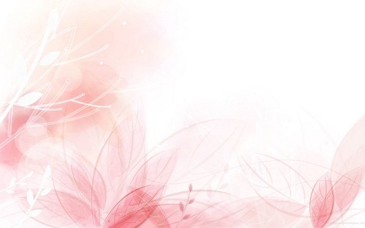 色彩花朵桌面壁纸 1920X1200【21P】