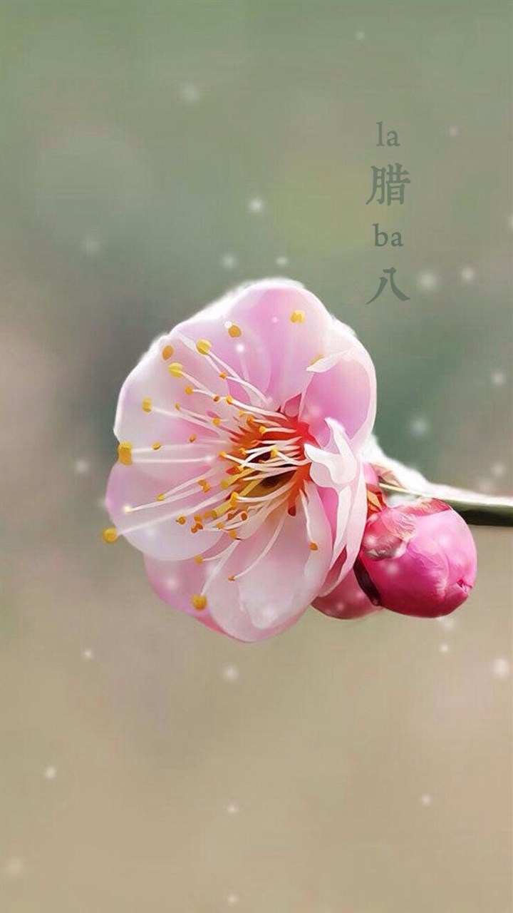 腊八节图片高清手机壁纸大全下载