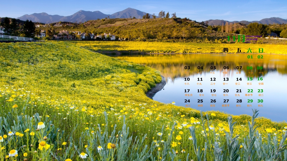 2014年11月日历壁纸唯美好看的花海高清自然风景图片合集