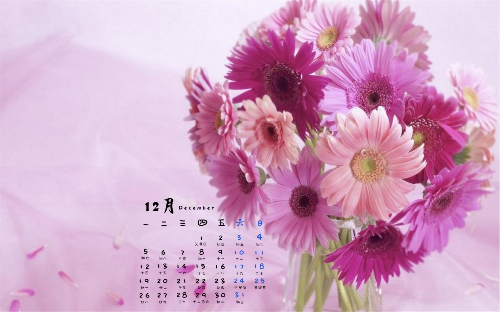 2016年12月日历清新花朵植物高清电脑壁纸下载