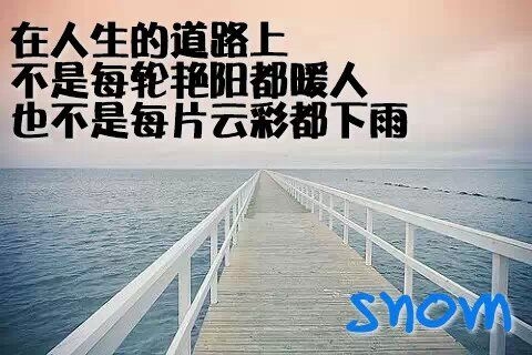 放肆的执着