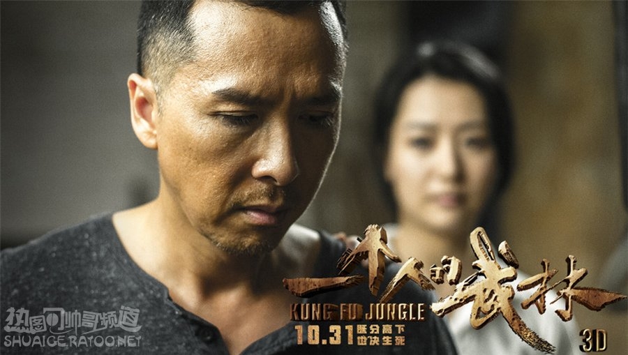 《一个人的武林》王宝强饰演封于修剧照，甄子丹饰演夏侯武剧照
