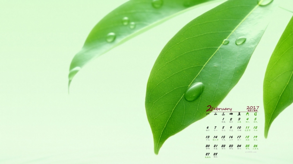 2017年2月绿色清新护眼绿叶日历壁纸  第三辑