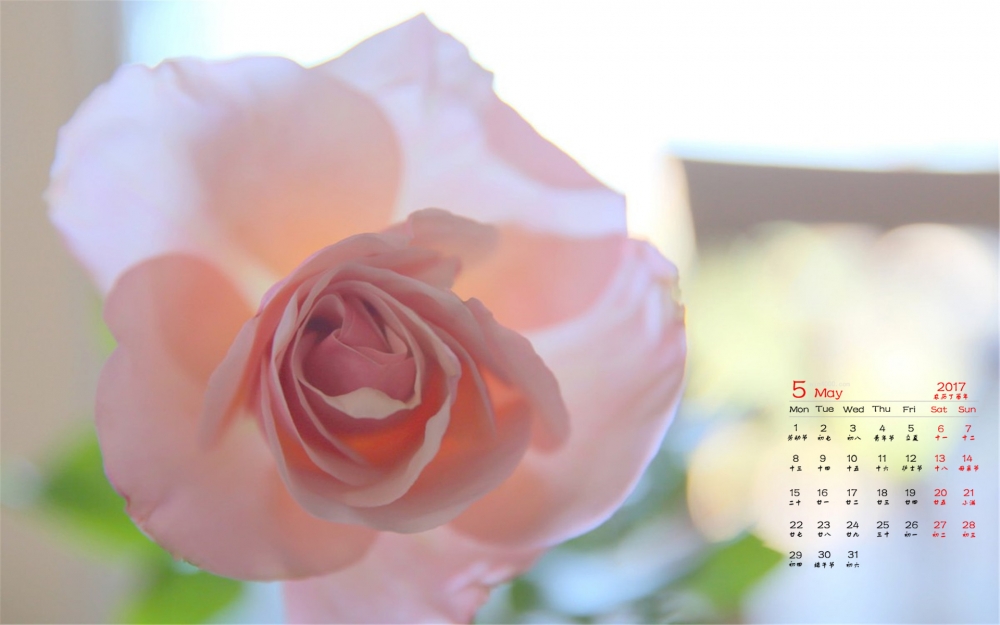 2017年5月简约唯美小清新日历壁纸