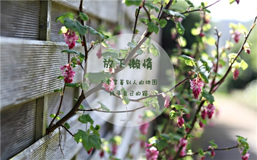 清新语录文字图片_学会放下不必要的东西