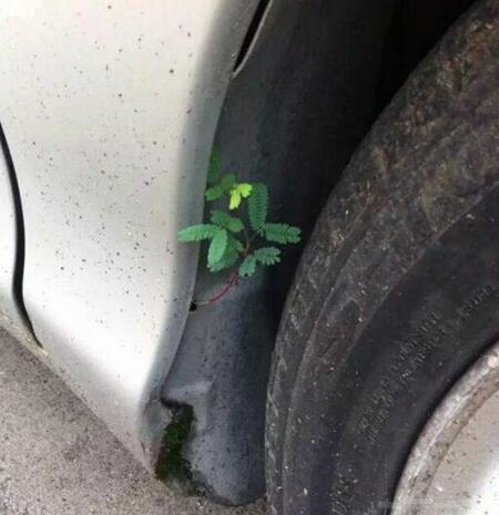 大哥你这车是有多脏