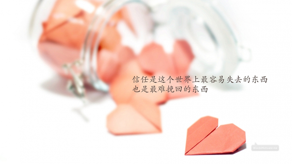 简唯美简约静物风格高清桌面壁纸下载