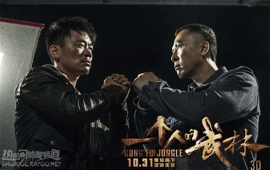 《一个人的武林》王宝强饰演封于修剧照，甄子丹饰演夏侯武剧照