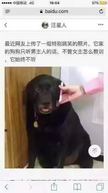 紫霞：哈哈哈哈哈