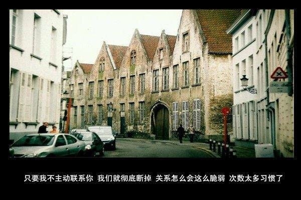 我怕爱会荒芜，却只能浇灌孤独
