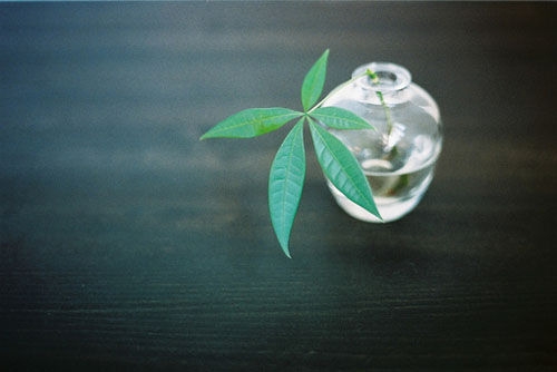 你越是这样我就越难受   清新唯美图片