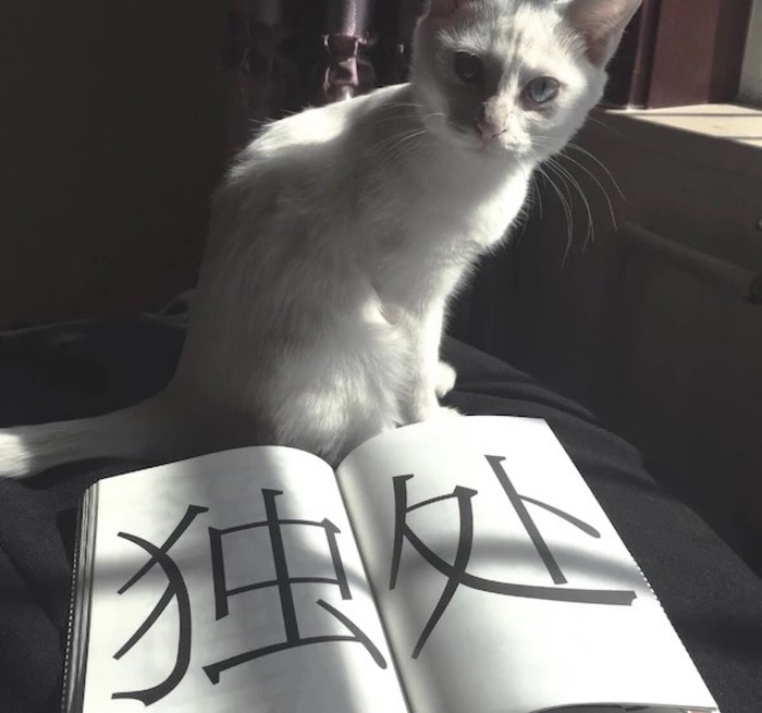 江綿/獨家記憶