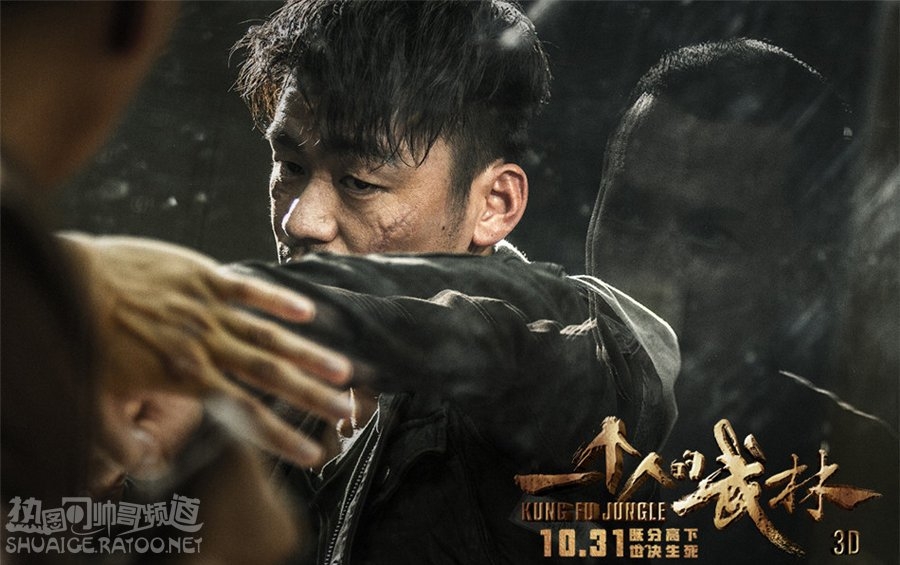 《一个人的武林》王宝强饰演封于修剧照，甄子丹饰演夏侯武剧照