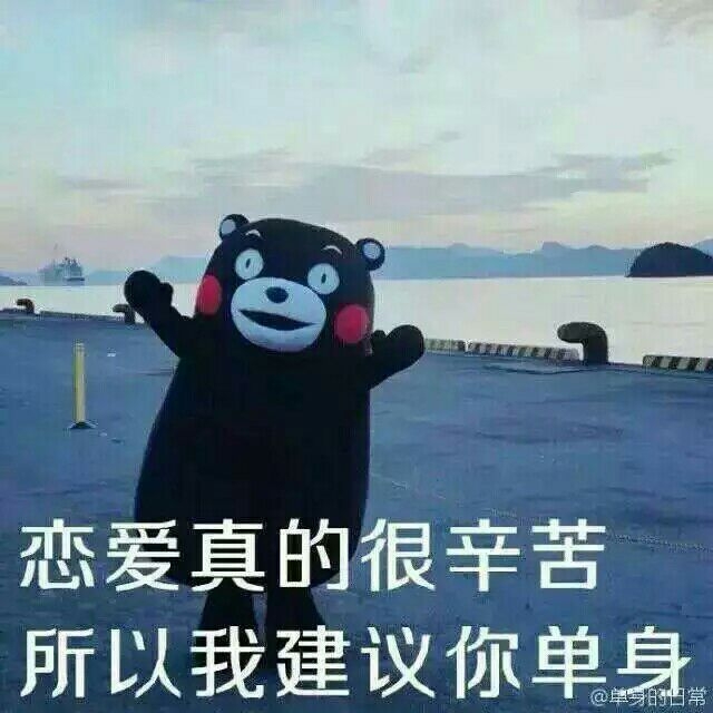 表情熊本熊