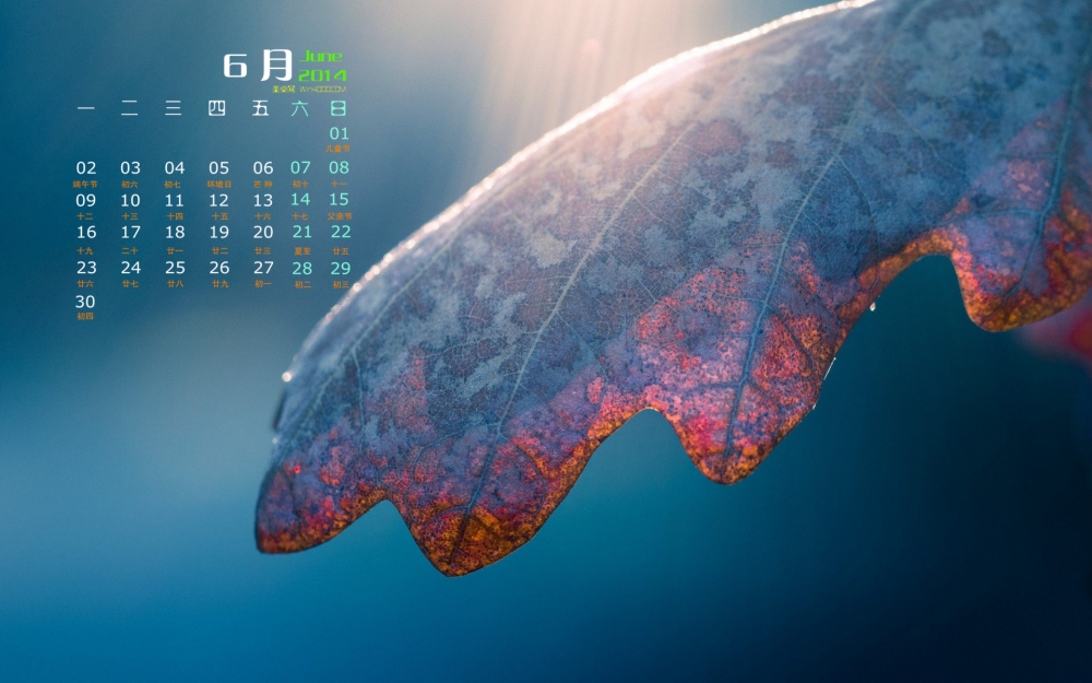 2014年6月日历壁纸清新唯美自然风景图片下载