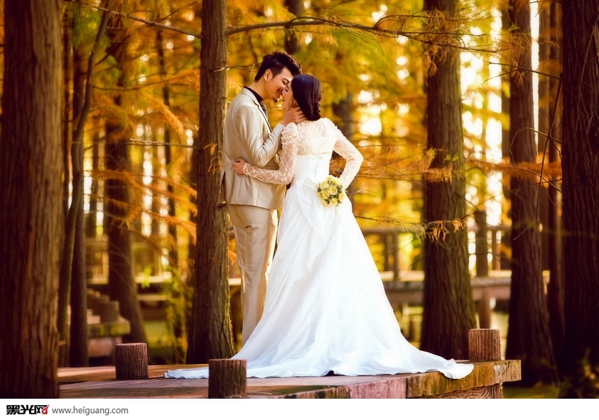 秋的记忆 婚纱照