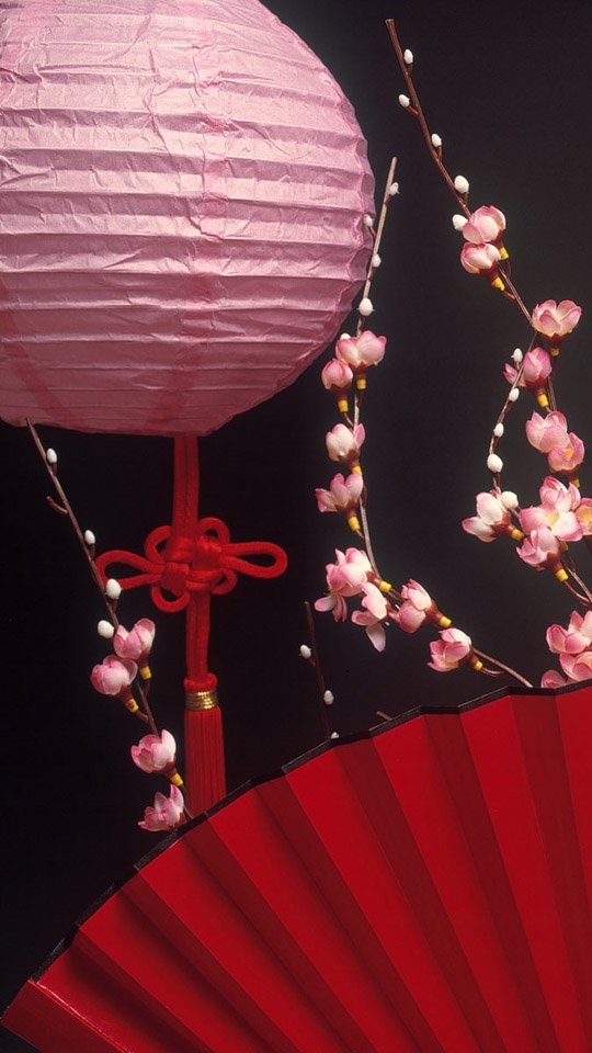 红红火火春节540X960手机壁纸