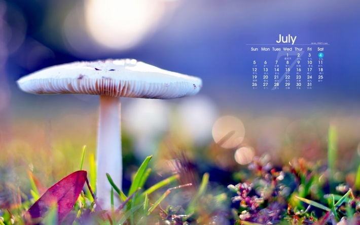 2015年7月唯美月历壁纸