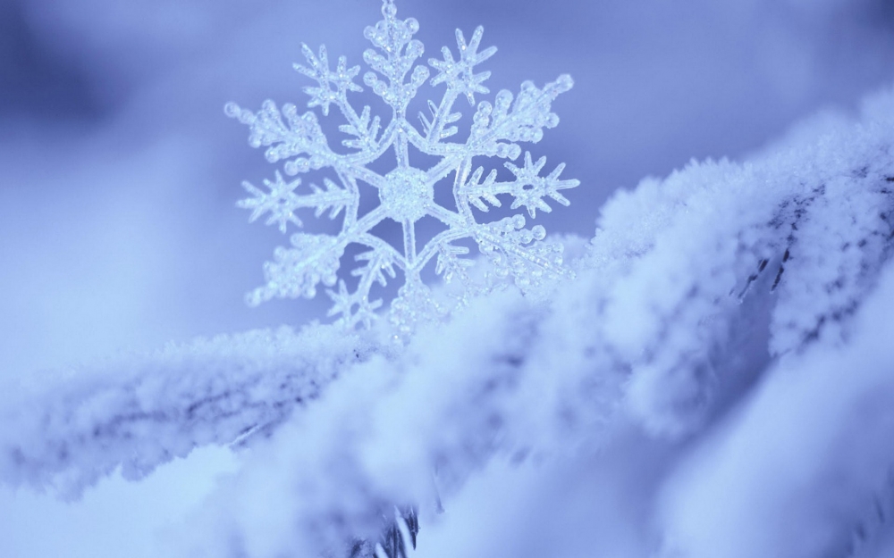 素雅雪花纹理背景图片电脑桌面壁纸下载 第二辑