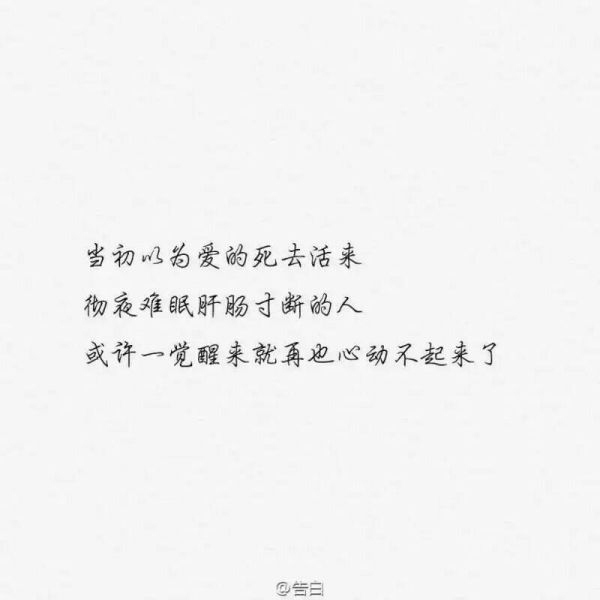 告白。