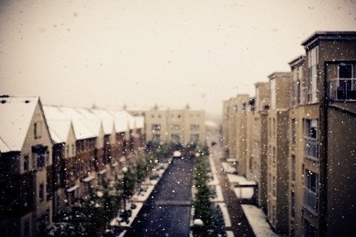 治愈系下雪冬日美景图片