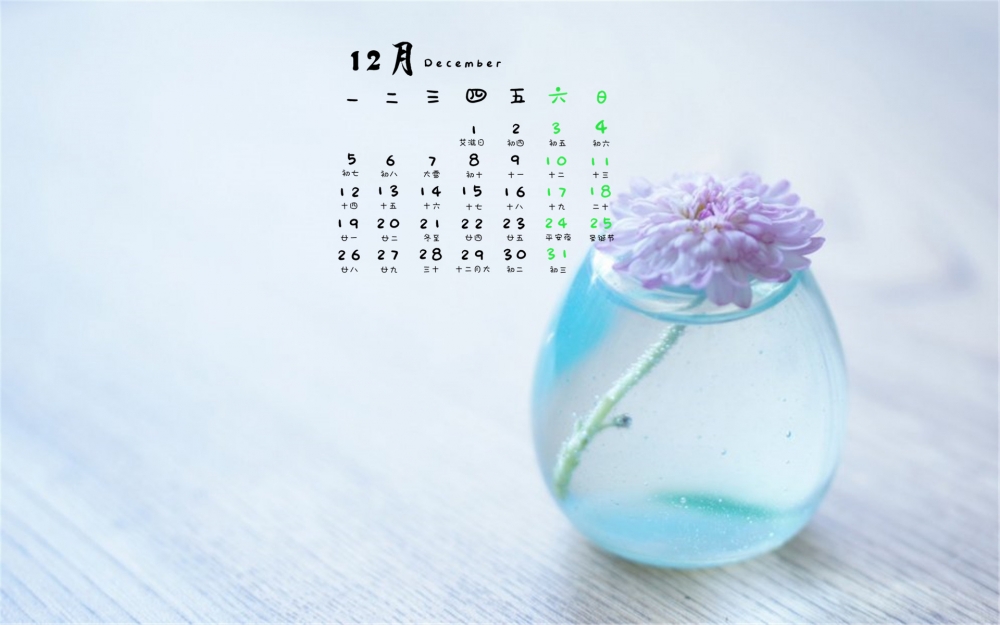2016年12月日历清新花朵植物高清电脑壁纸下载