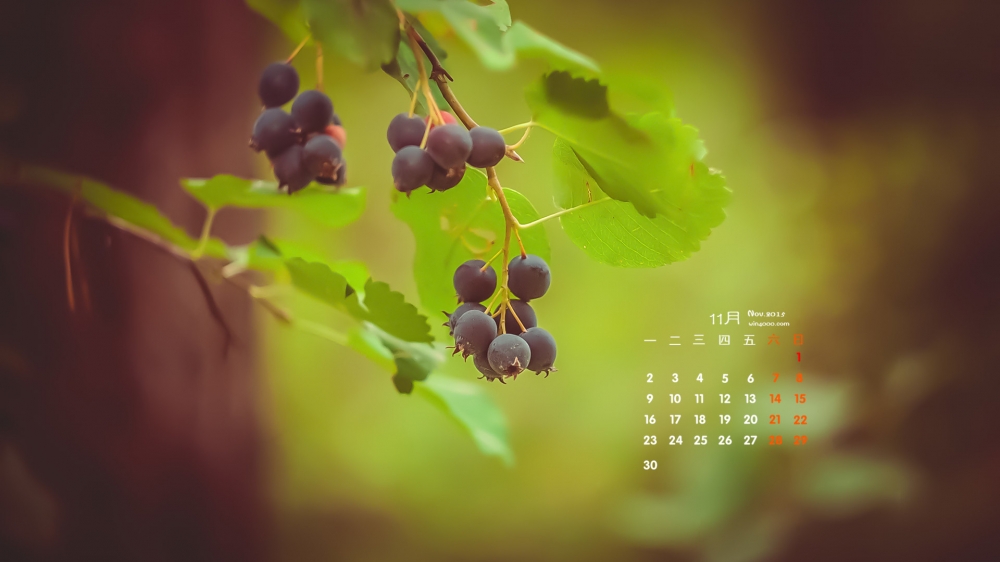 2015年11月日历壁纸精选大自然美景摄影图片3