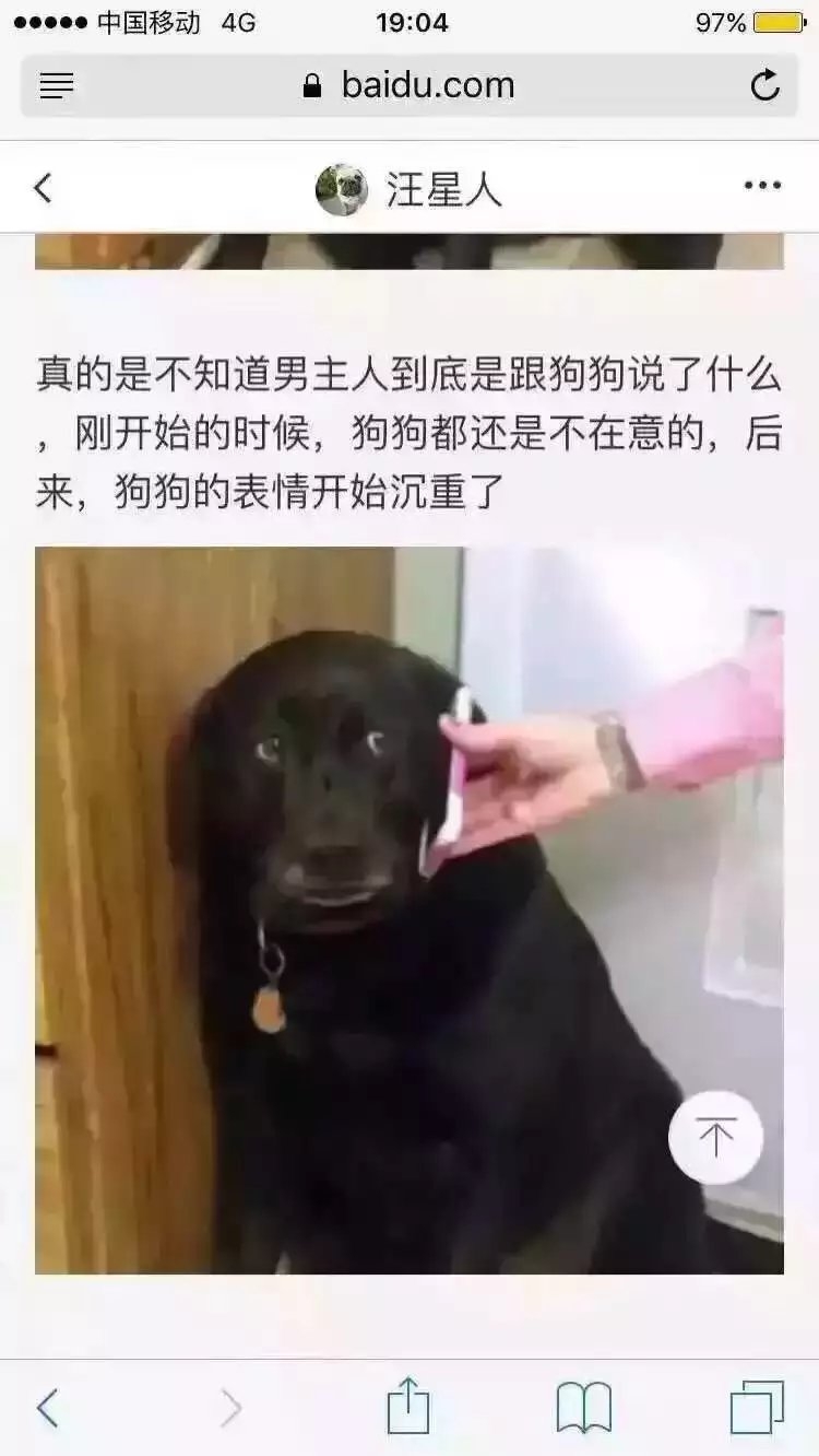 紫霞：哈哈哈哈哈