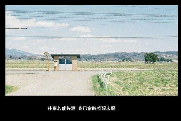 我怕爱会荒芜，却只能浇灌孤独
