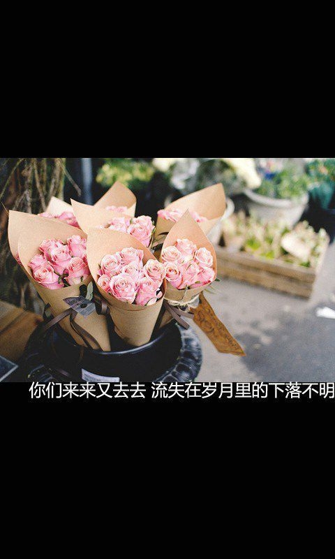 你的真心话是我的大冒险