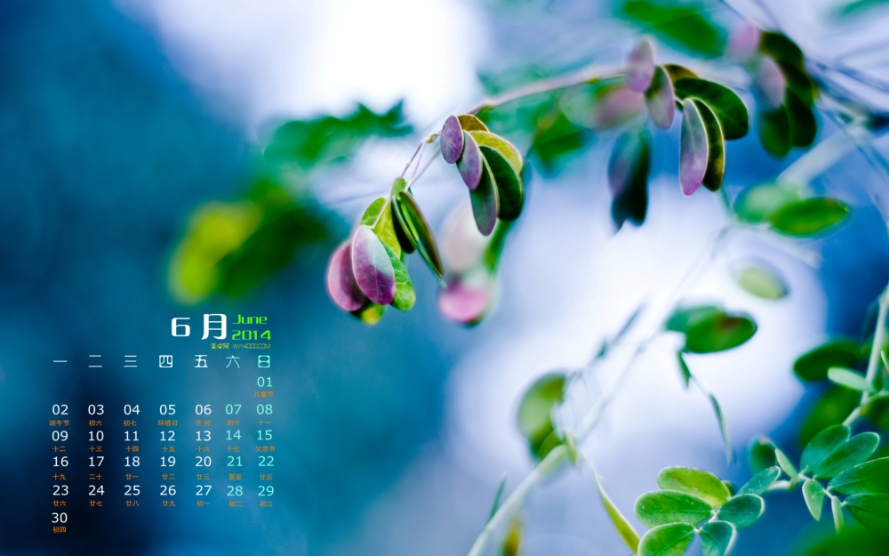 2014年6月日历清新养眼植物宽屏高清电脑桌面壁纸